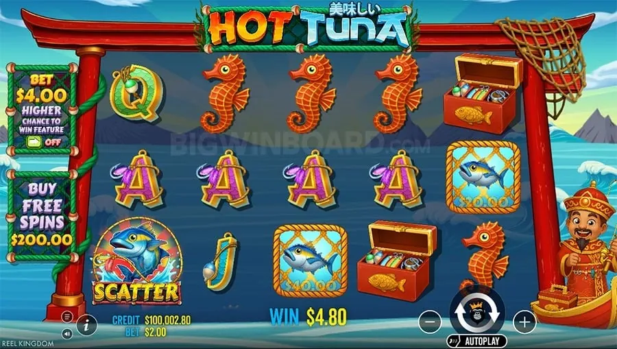 PH33 Live Betting Interface