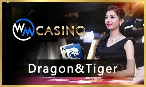 BingoPlus Sports Betting